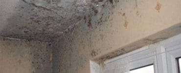 معالجة الرطوبة جازان