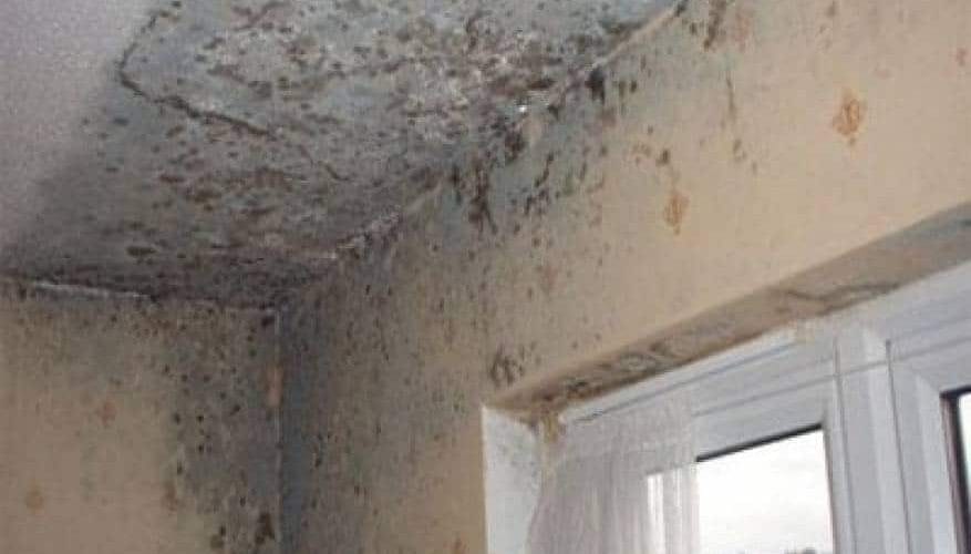 أبراج الكامل لكشف تسربات المياه بجدة بدون تكسير الشركات المعتمدة | معالجة الرطوبة جازان