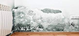 معالجة الرطوبة ينبع