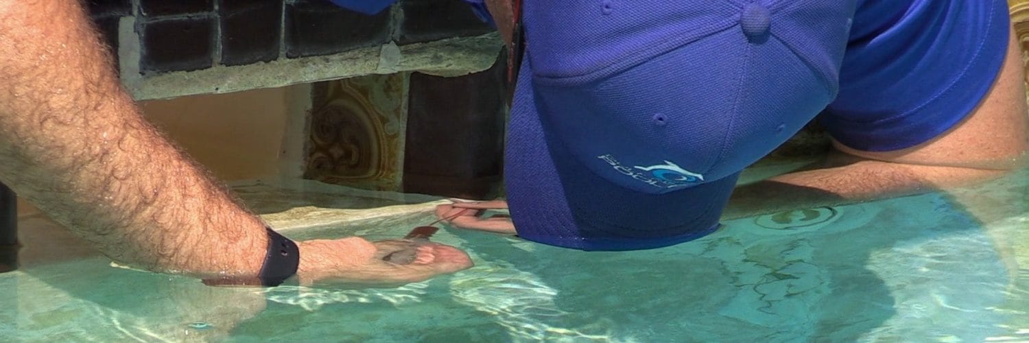 أبراج الكامل لكشف تسربات المياه بجدة بدون تكسير الشركات المعتمدة | كشف تسريبات المسابح بالطائف